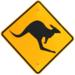 Aussie